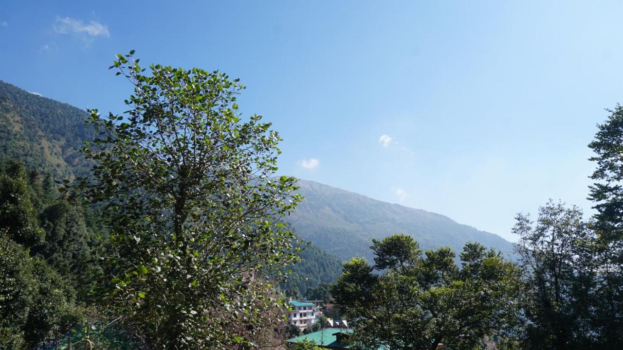 Angela'S Boutique Homes Dharamkot Νταραμσάλα Εξωτερικό φωτογραφία